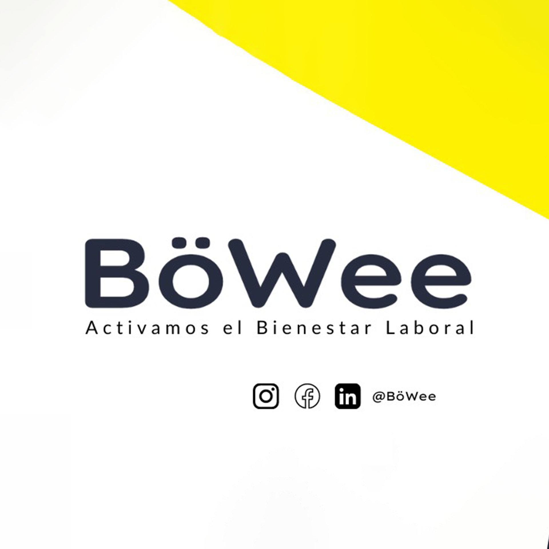 Luis Miguel Navarro nos invita a descubrir el universo Bowee en una entrevista exclusiva en Radio Startidea